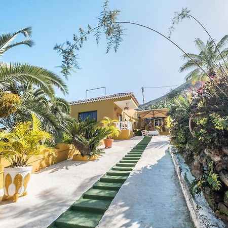 Finca Alejandrina La Guancha Dış mekan fotoğraf