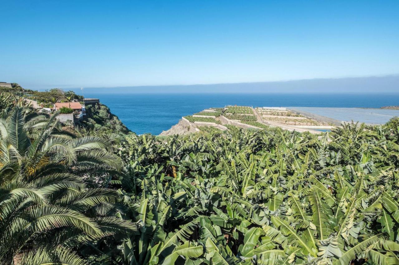 Finca Alejandrina La Guancha Dış mekan fotoğraf